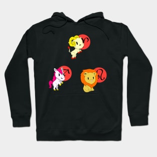 Fire Star Signs of the Zodiac Hoodie